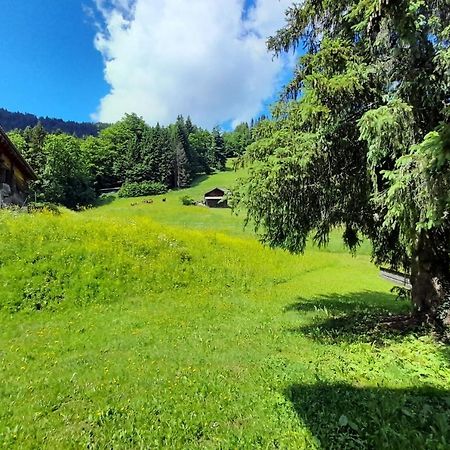 Appartement Sur Les Pistes Pour 6 à La Clusaz Esterno foto