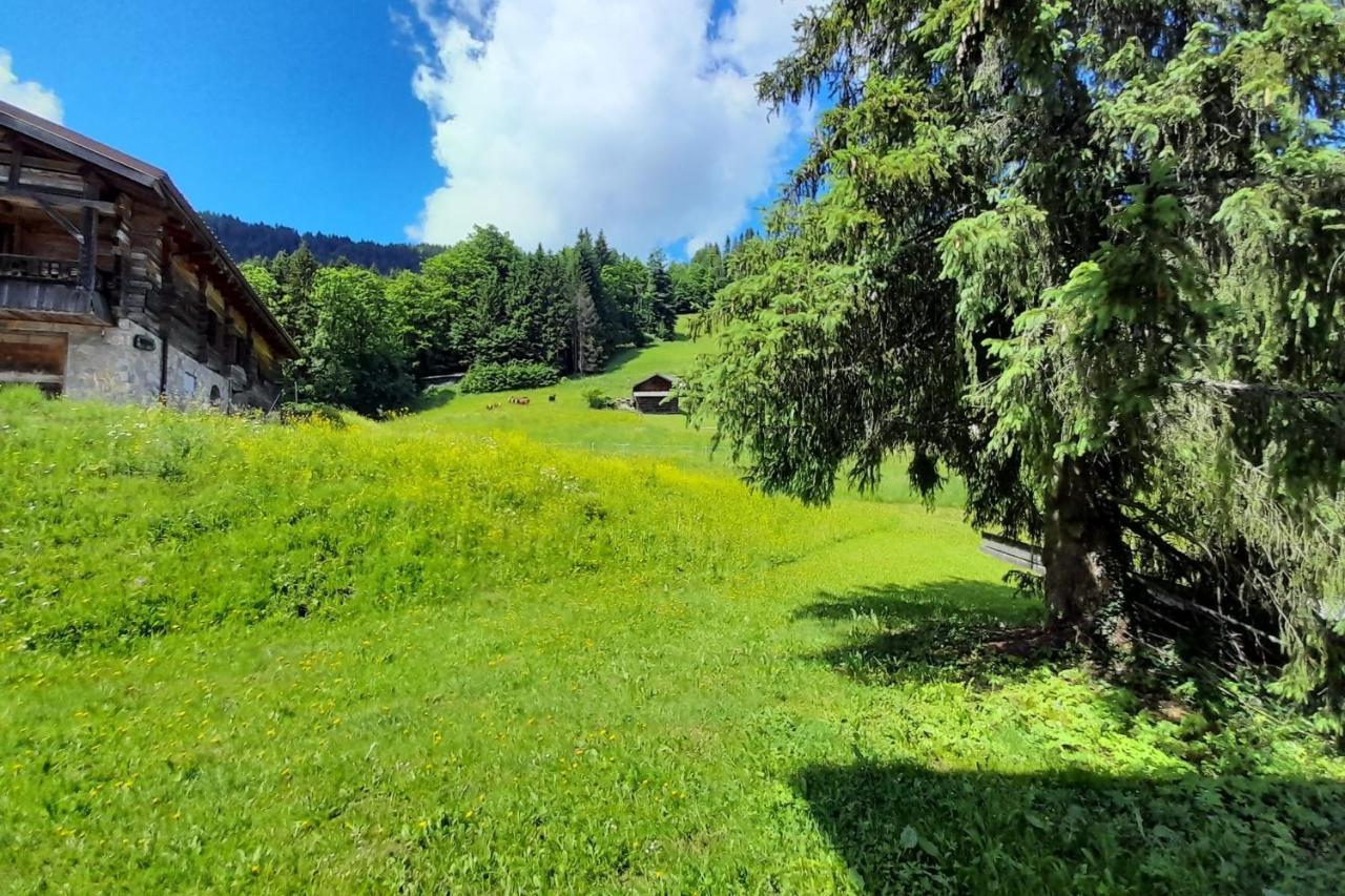 Appartement Sur Les Pistes Pour 6 à La Clusaz Esterno foto